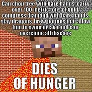 Image result for Minecraft Meme Examples