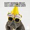 Image result for Birthday Memes for Friends