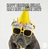 Image result for Funny Coworker Birthday Meme