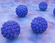 Image result for Minor Genital Human Papillomavirus