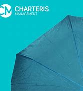 Image result for Umbrella Company