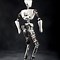 Image result for Humanoid Autonomous Robot