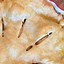 Image result for Apple Pie Recipe with Canned Filling