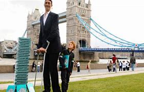 Image result for 8 Feet Tall Thing