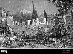 Image result for Pompeii Preserved