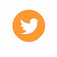 Image result for Official Twitter Logo