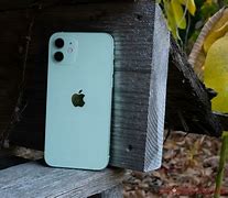 Image result for iPhone 12 Mini Back Image