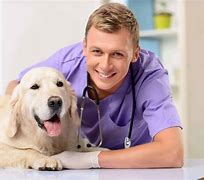 Image result for Veterinarian with Dog