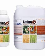 Image result for amino�ciso