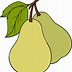 Image result for Pear Draw