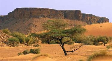 Image result for Mali Desert