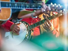 Image result for Arizona Wildflowers Bluegrass Band