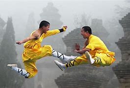 Image result for Kung Fu Styles List