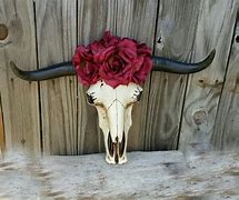 Image result for Animal Skull Wallpaper