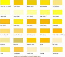 Image result for Yellow Color Names