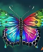 Image result for Neon Rider Buttefly CS