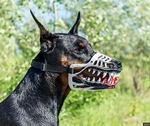 Image result for Dog Muzzle with Teeth