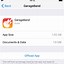 Image result for iPhone Manage Storage