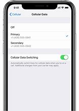 Image result for Cellular Data Switching iPhone