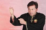 Image result for Deadliest Martial Arts Styles in the World