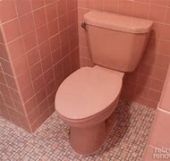 Image result for Backed Up Toilet