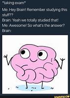 Image result for The Test My Brain Meme