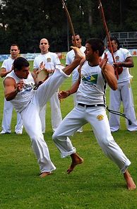 Image result for Capiara Martial Arts