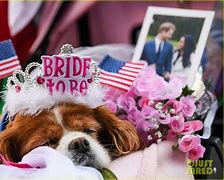 Image result for Prince Harry and Meghan Markle Lilibet
