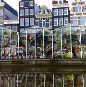 Image result for The Floating Flower Market in Amsertdam Netherlands