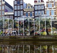 Image result for Floating Flower Market Amsterdam
