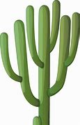 Image result for Saguaro Cactus Vector
