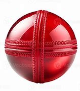 Image result for Cricket Crowd Background