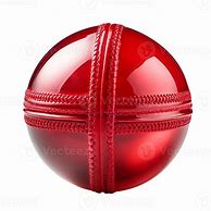 Image result for Cricket Roof Material