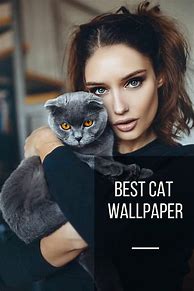 Image result for Funny Cat Phone Wallpaper
