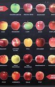 Image result for Compare and Different Apple's