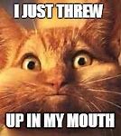 Image result for I Threw Up Cat Meme