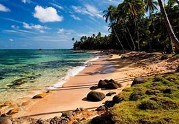 Image result for Nicaragua Tropical Beach