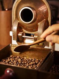 Image result for Black Ivory Coffee Thailand