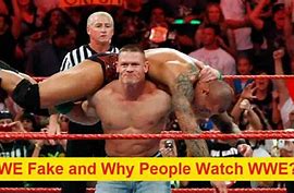 Image result for WWE People