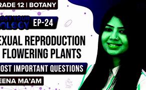 Image result for Plant Reproduction Cycle