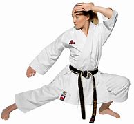 Image result for Karate Kata GI