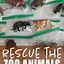 Image result for Zoo Animals Lesson Plan for Preschool