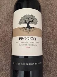 Image result for Progeny Cabernet Sauvignon Special Selection Reserve
