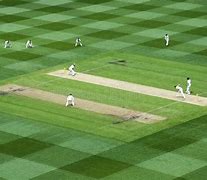 Image result for Cricket Pitch Top View