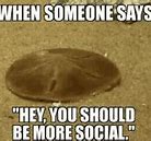 Image result for Popular Funny Memes 2019