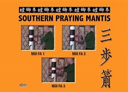 Image result for 8 Step Praying Mantis Kung Fu
