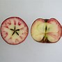 Image result for browns apples fruits