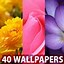 Image result for Flower Wallpaper for Tablet