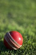 Image result for Cricket Set