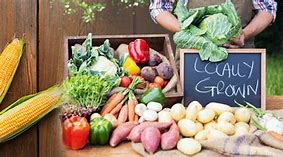 Image result for Farm Grown Food